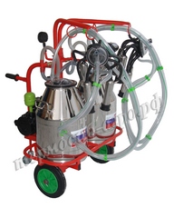 Доильная установка от компании Термосиб-АРГО