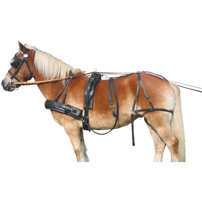 Упряжь для лошади 2