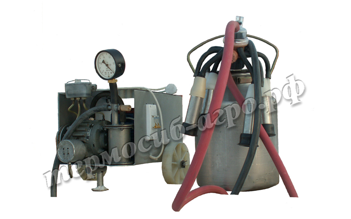 Доильная установка АИД-2Т (220В)