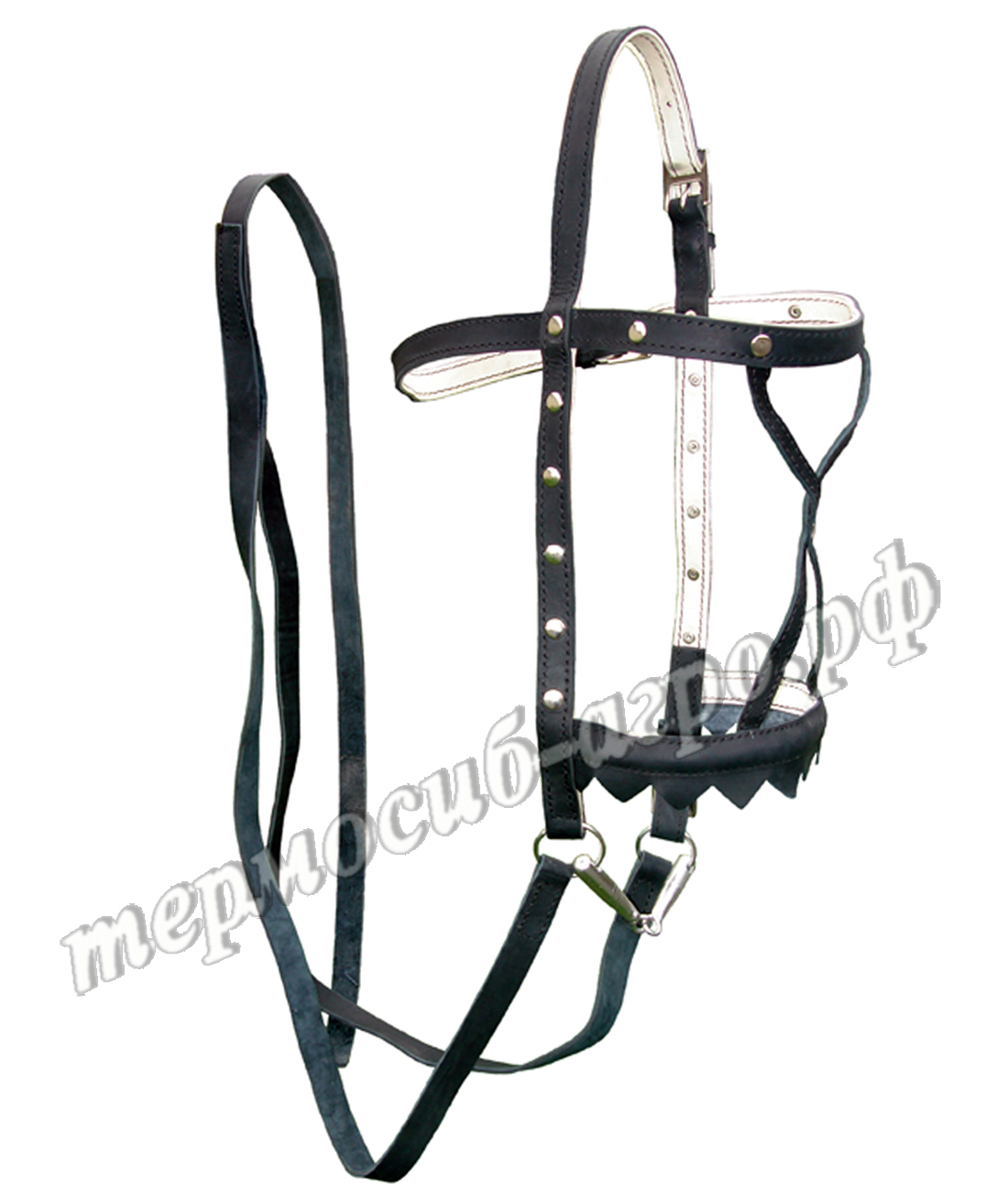 Узда выездная